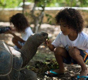 child feeding turtles 2